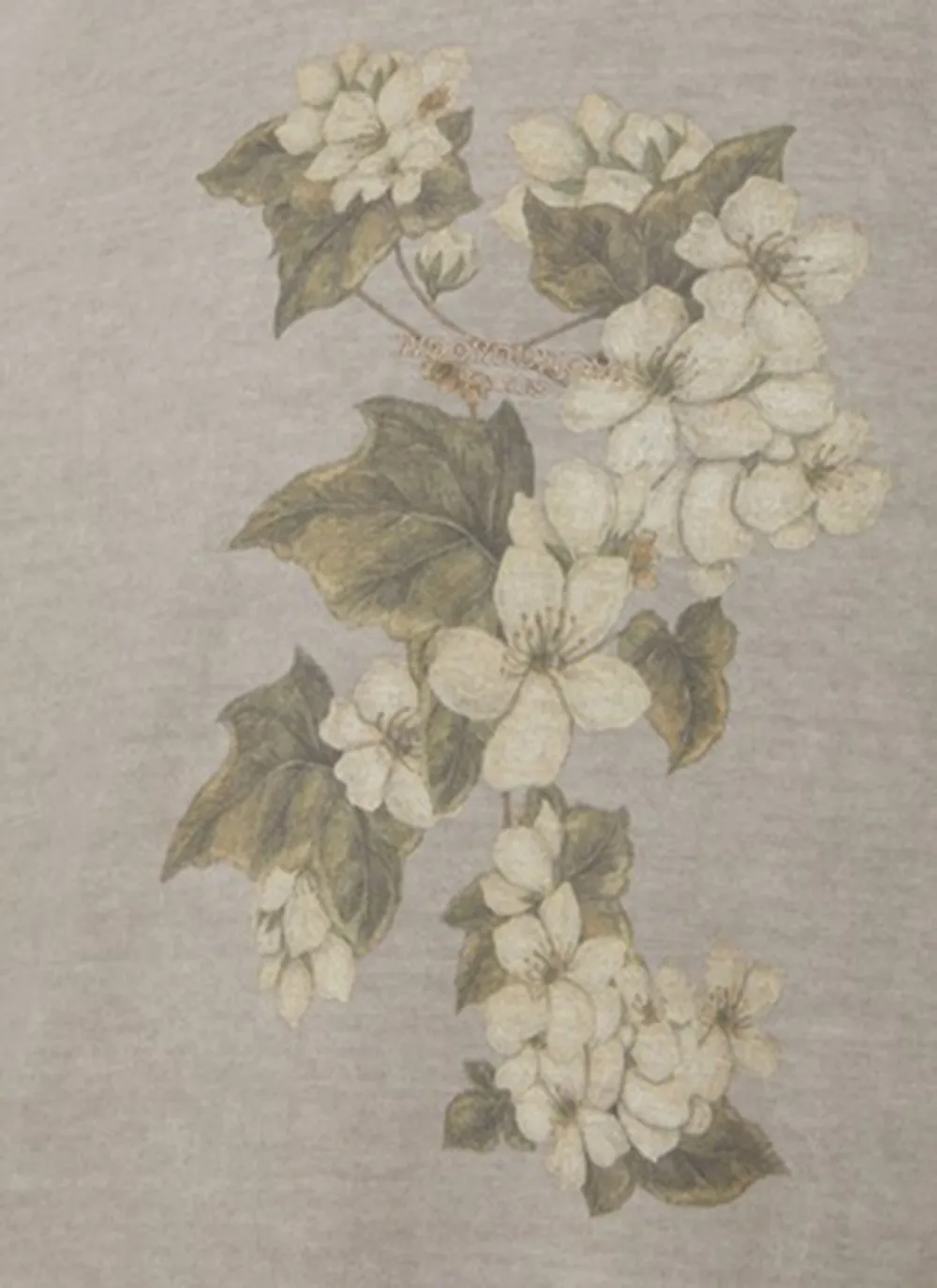 Soft Grey Print Cottom T-Shirts