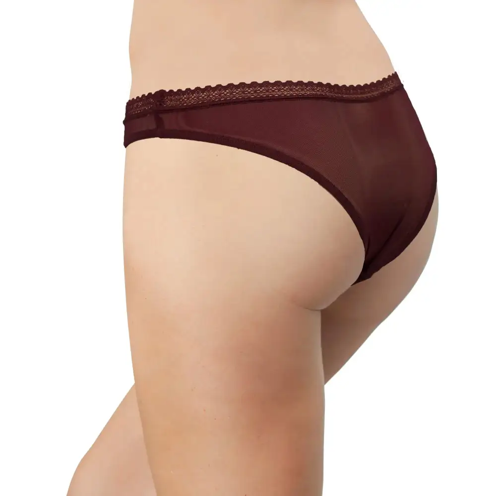 Classic Lace-Trim Lace Mesh Thong Panty