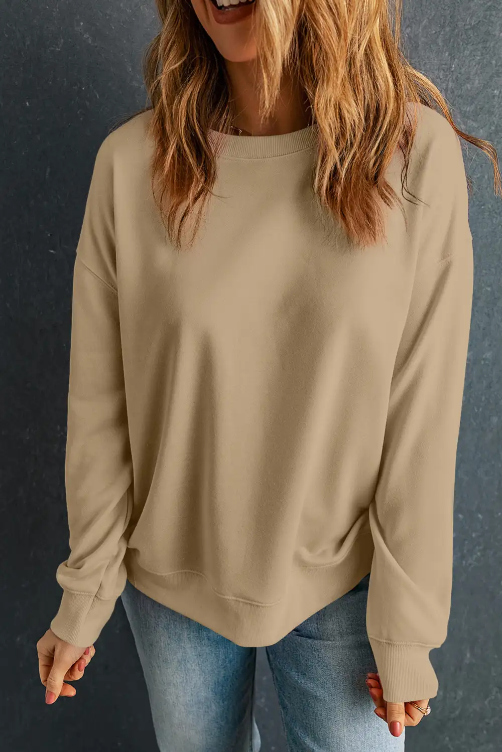 Casual Solid Classic Crew Neck Sweatshirt