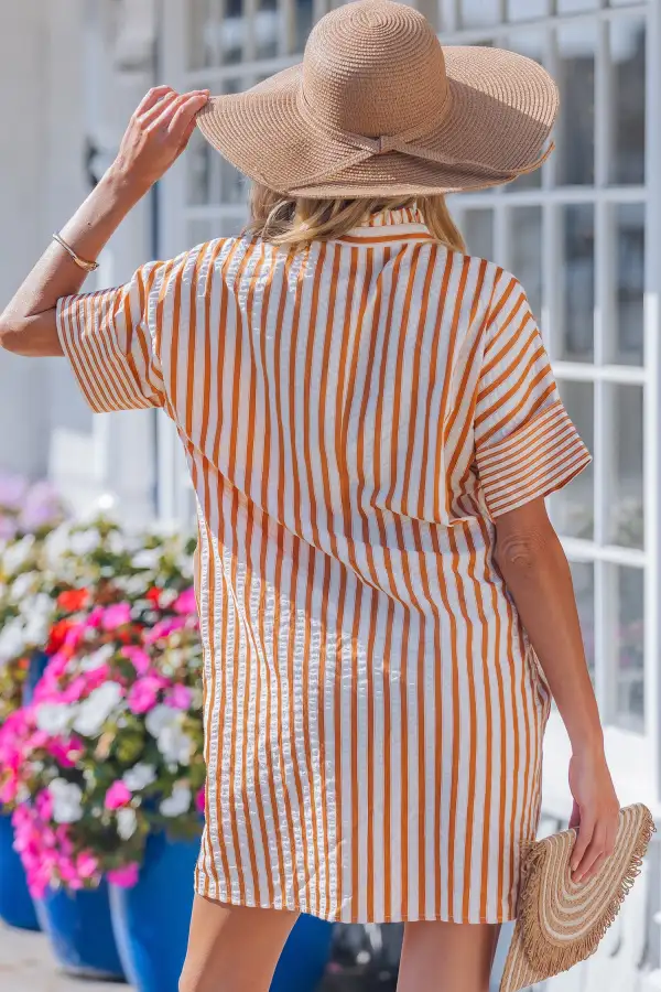 Women's Striped V Neck Shift Mini Dress