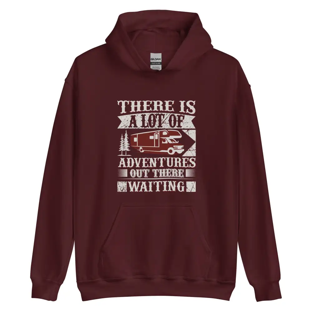 Hoodie A Lot of Adventures