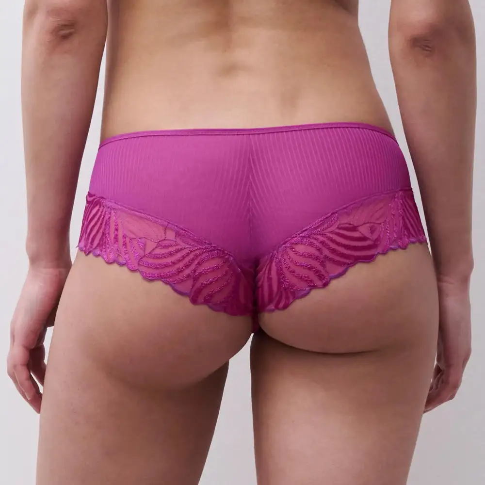 Women's Full Coverage Elastic Waistband Cotton Gusset Embroidery Sheer Detail Cotton Floral Print Soft Fabric Stretch Fit Boxer Panty
