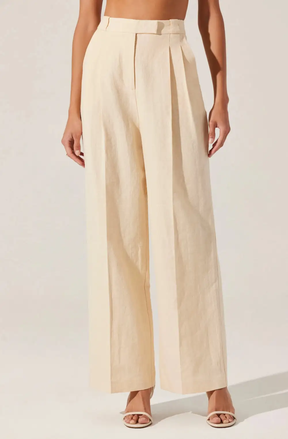 Linen Blend Pleated Pants