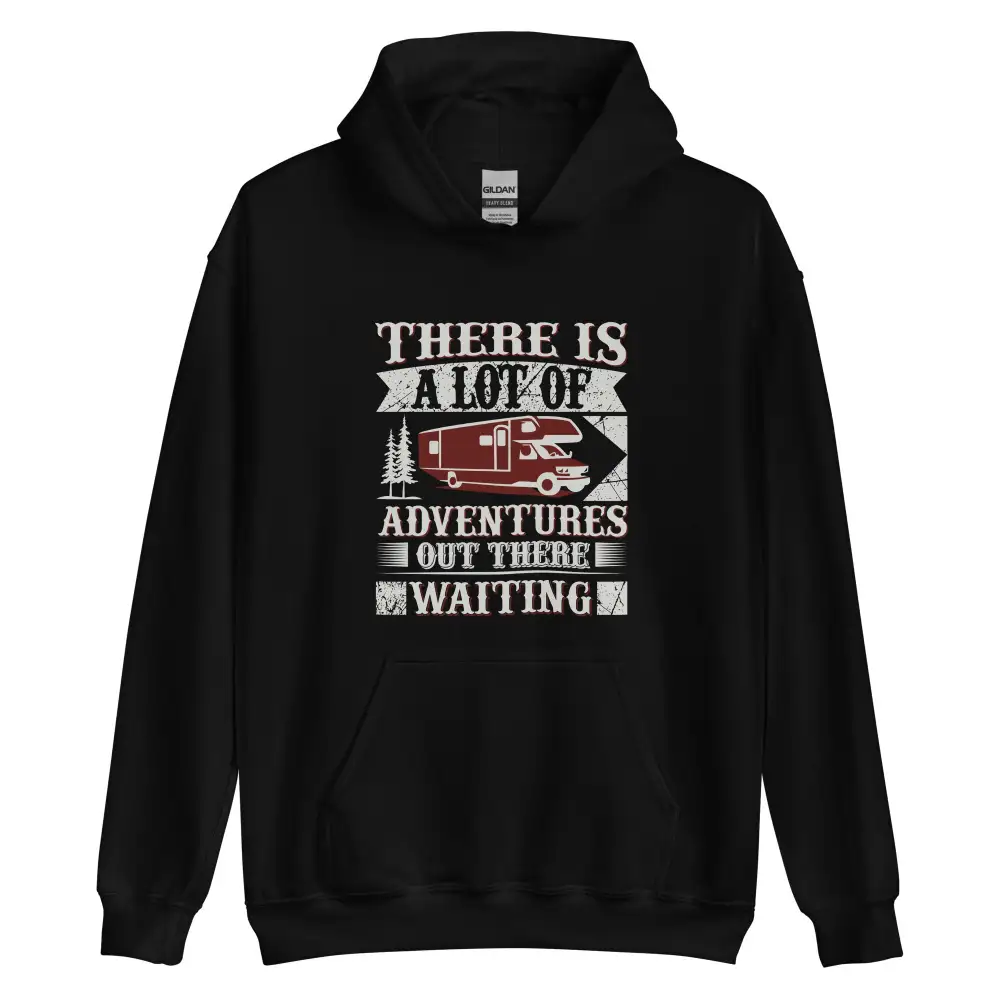 Hoodie A Lot of Adventures