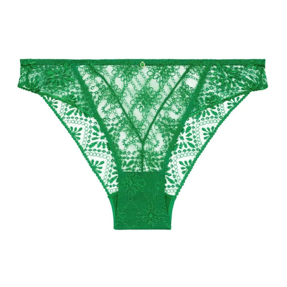 Women's Embroidery Mesh Sheer Detail Bikini Panty