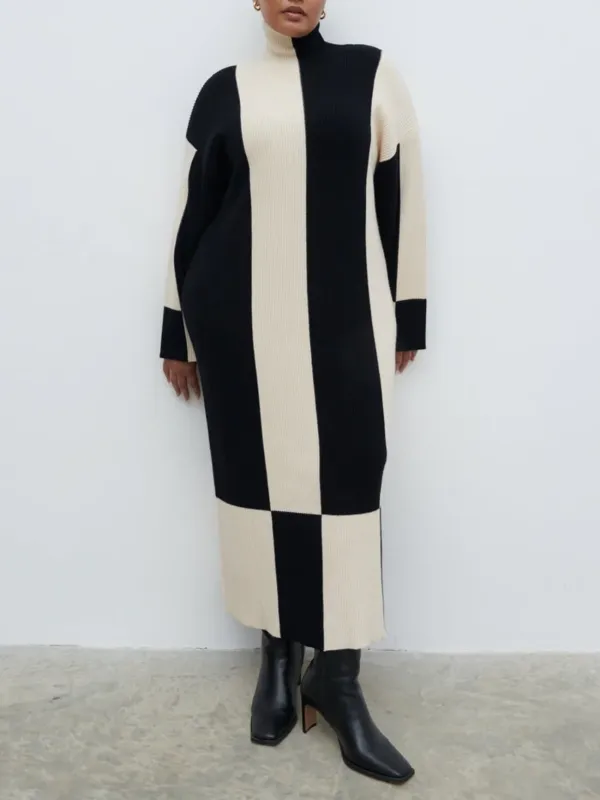 High Funnel Neck Knit Dress Curve