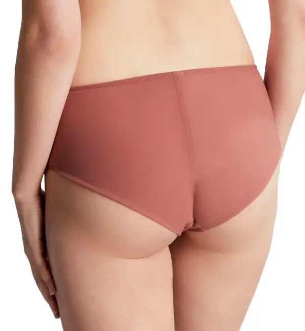 Mid-Rise Stretch-Lace Floral Cheeky Brief Panty