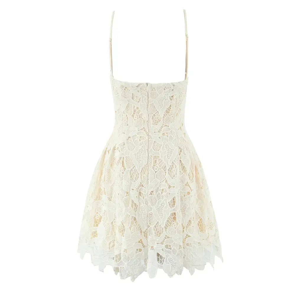Refined Lace Embroidered Mini Dress