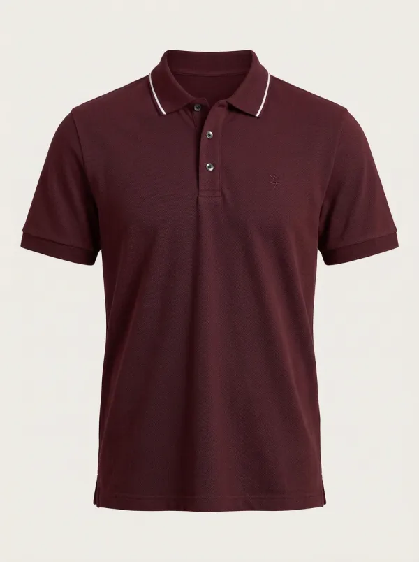 Men's Classic Comfort Tipped Collar Embroidered Polo Shirt