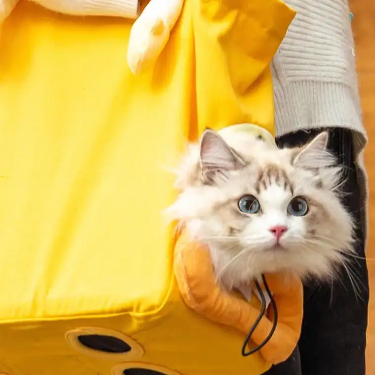 Fall and Travel Bag Puppy Dog Cat Four Feet