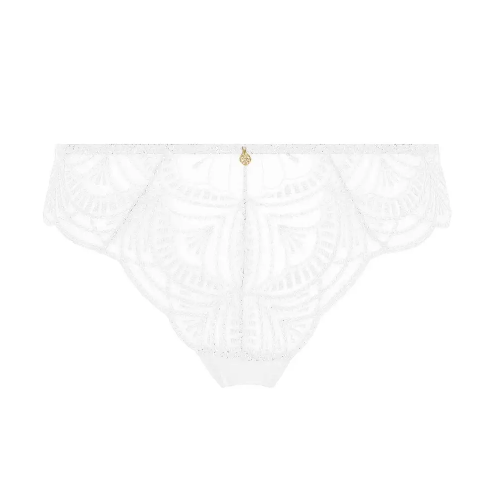 Women's Embroidery Mesh Microfiber Cotton Cutout Detail Bikini Panty
