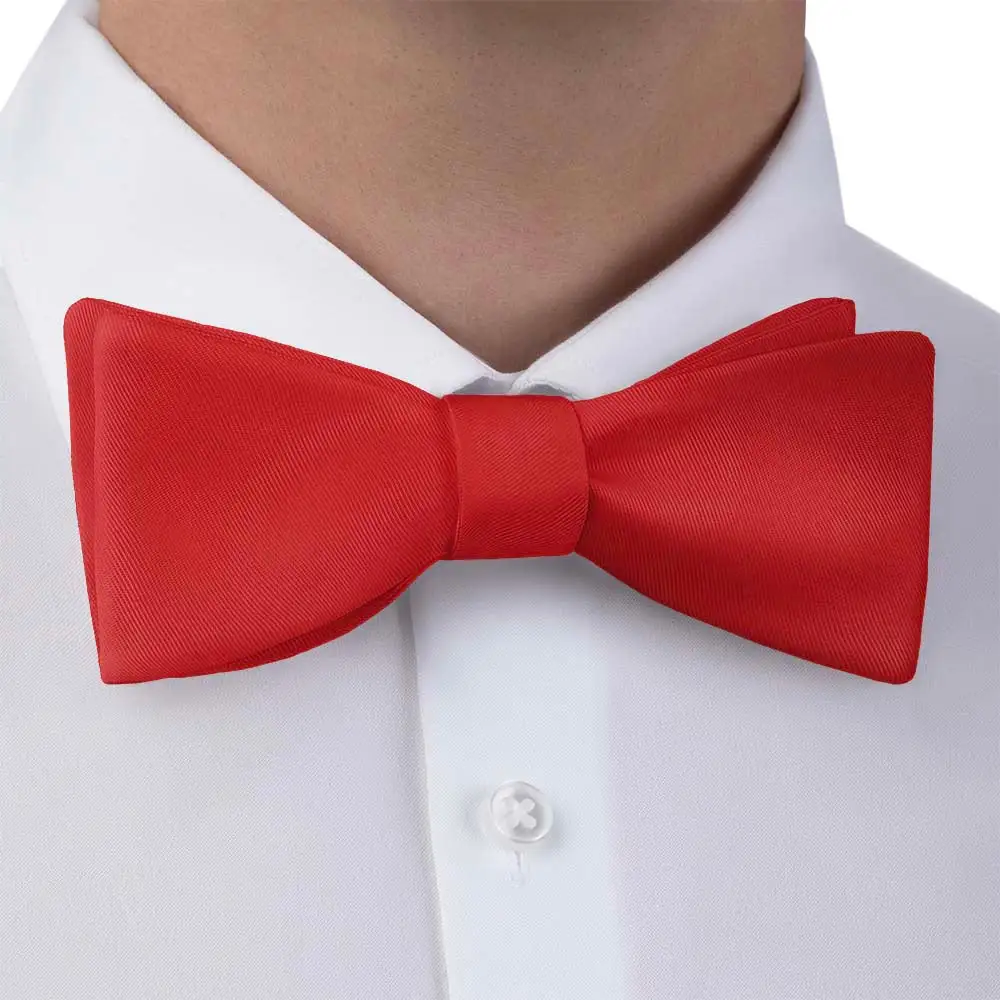 Clean Solid Motif Bow Tie