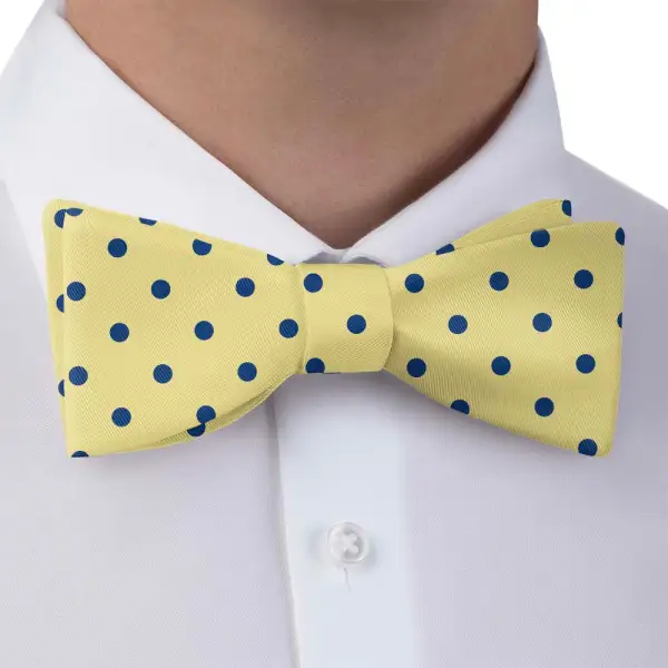 Franklin Dots Motif Bow Tie
