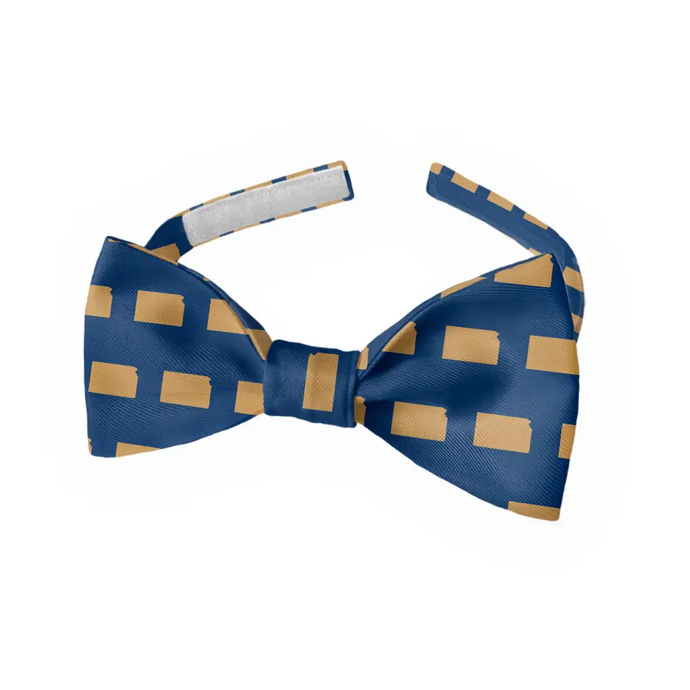 Sharp Outline Motif Bow Tie