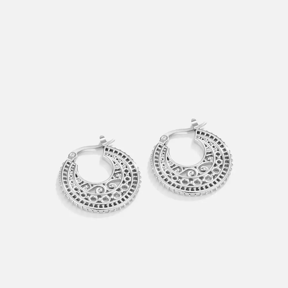 Chic Hoop Earrings