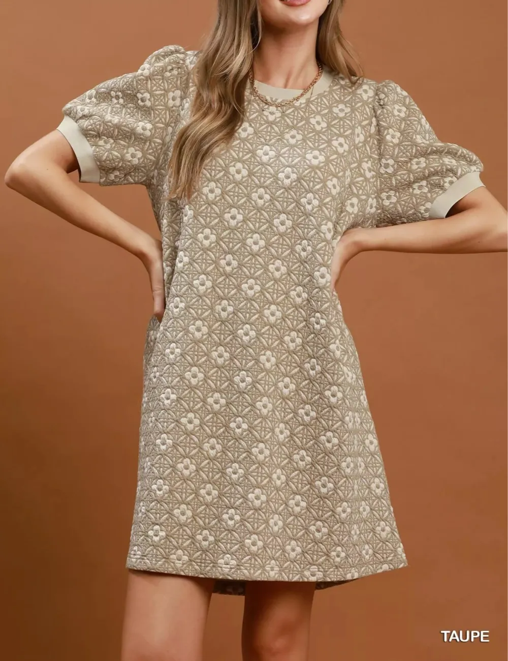 Floral Print Puff Sleeve Mini Dress