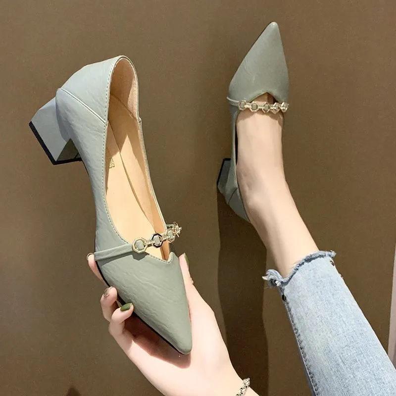 Pointed Toe Mid Heel Pumps