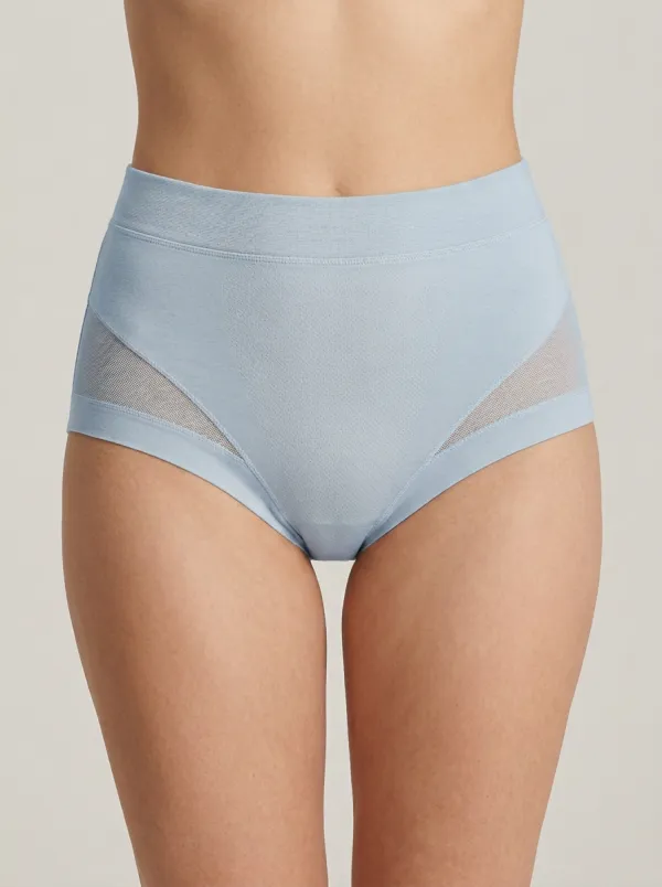 Contemporary Seamless High-Waisted Mesh Panel Modern Look Women's Panties