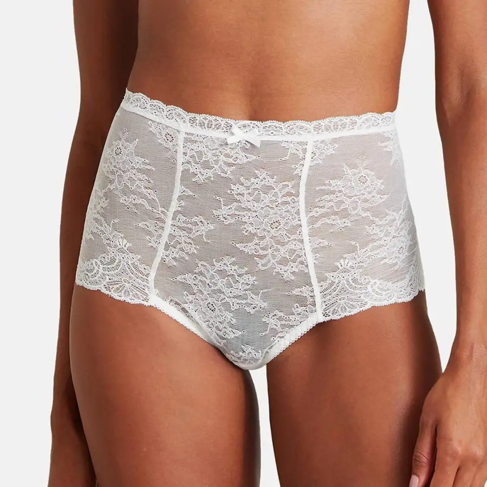 Women's Floral Lace Sheer Detail Shaping High Waist Panty