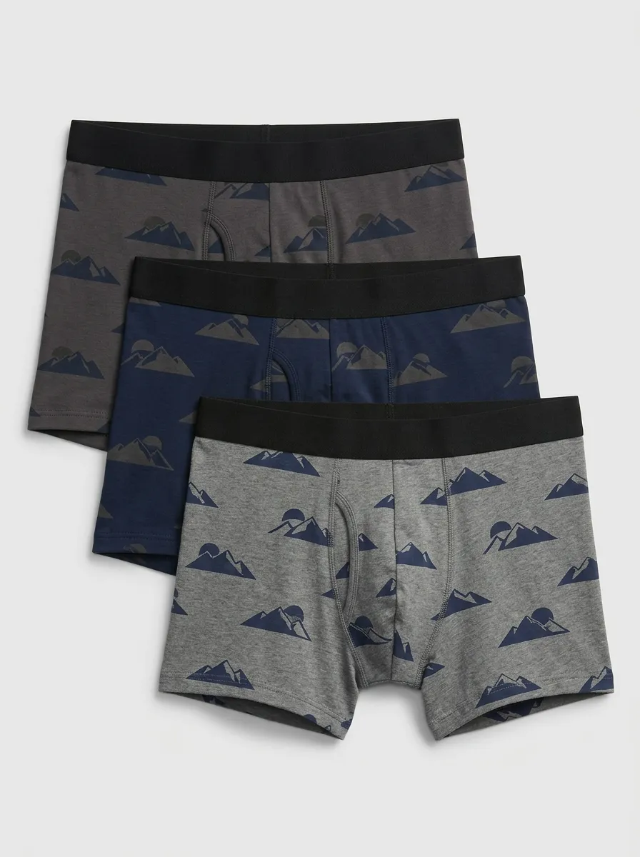 Men's Three-Pair Mountain Sunset Fly Boxer Brief Set