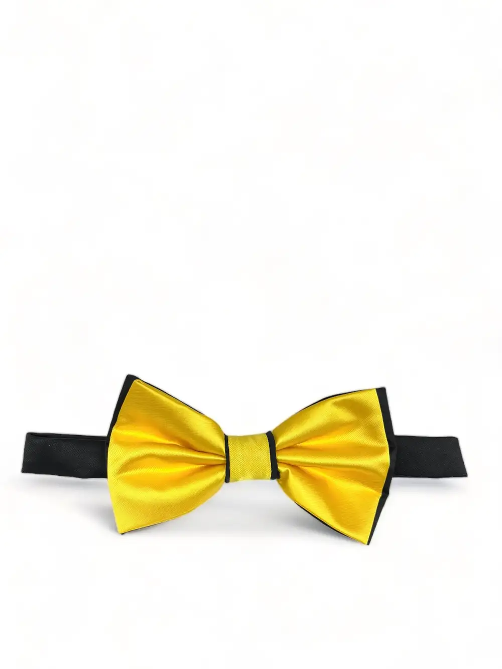 Smart Polyester Bow Tie Set