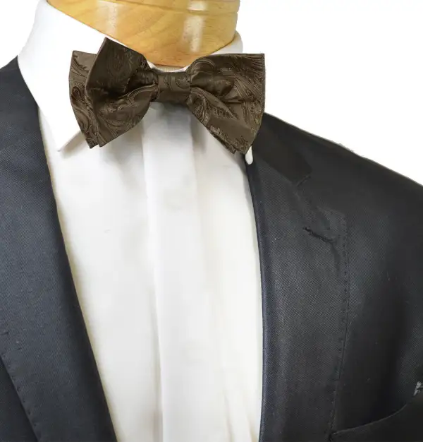 Formal Paisley Polyester Bow Tie