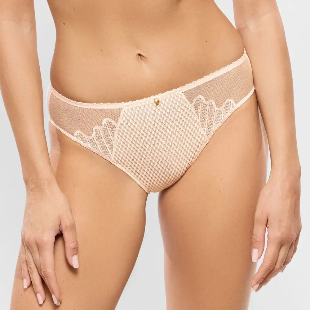 Women's Elastic Waistband Cotton Gusset Lace Embroidery Mesh Sheer Detail Cotton Lightweight Bikini Panty