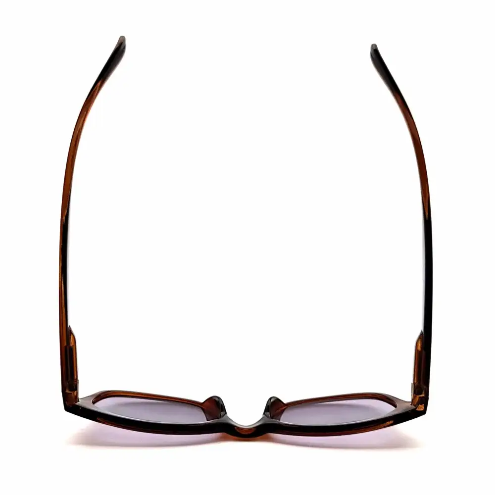 Wayfarer Full-Lens Spring-Hinge Reading Sunglasses