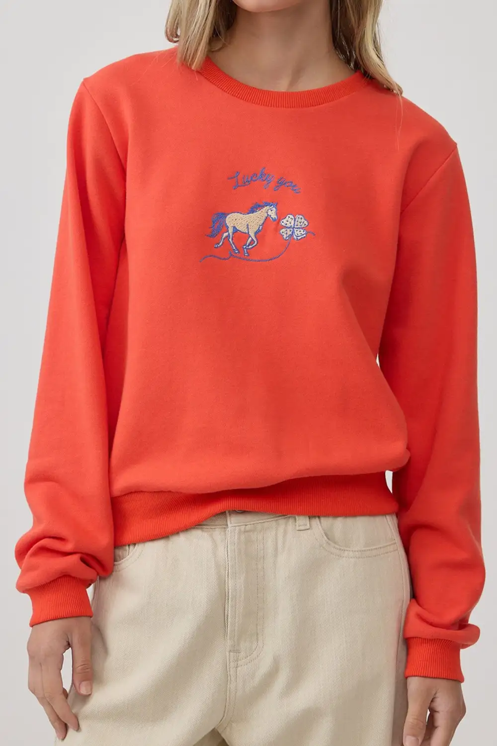 Embroidered Crew Neck Soft Western Sweatshirt