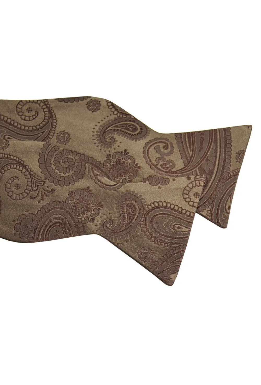 Distinguished Paisley Silk Bow Tie