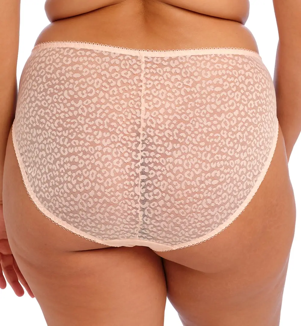 High-Waist Lace Floral High-Leg Brief Panty