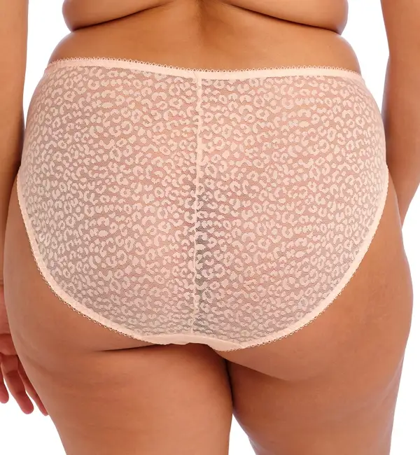 High-Waist Lace Floral High-Leg Brief Panty