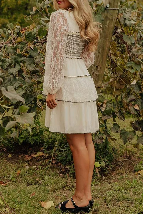 Embroidered Round Neck Long Sleeve Tiered Mini Dress