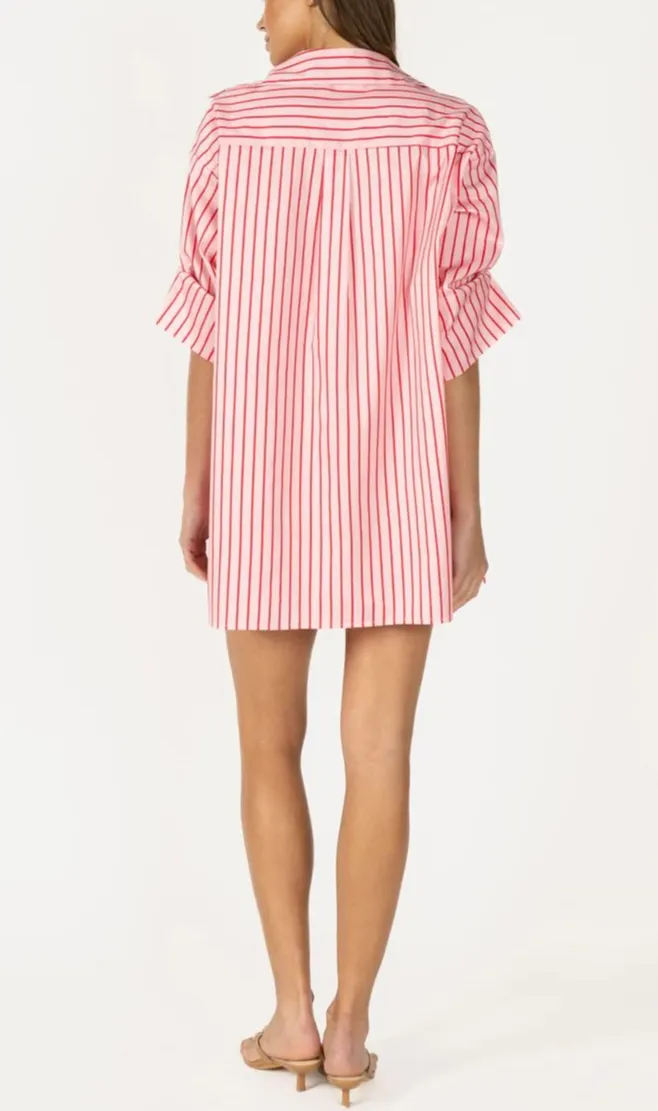 Striped Mini Shirt Dress