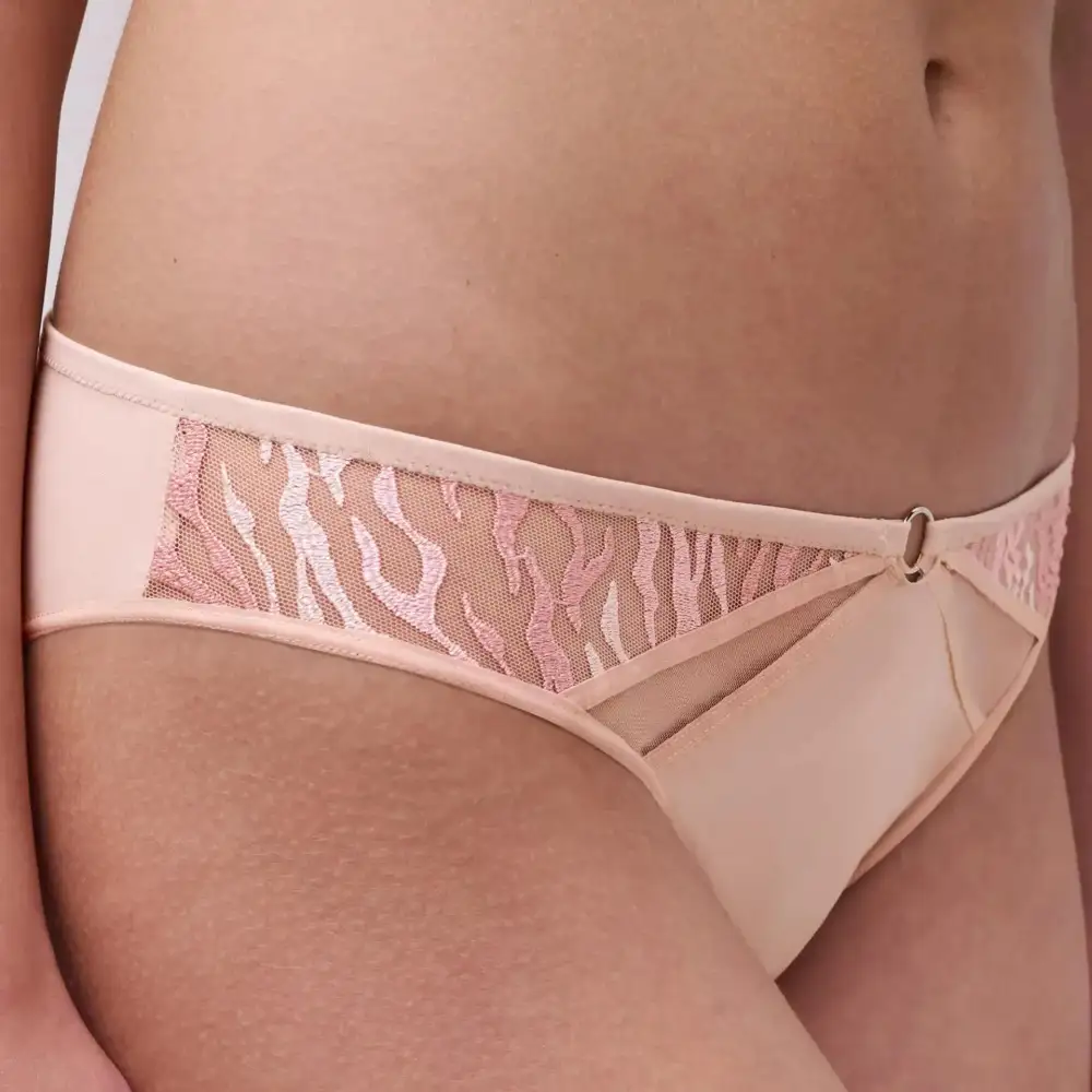 Classic Brazilian Briefs