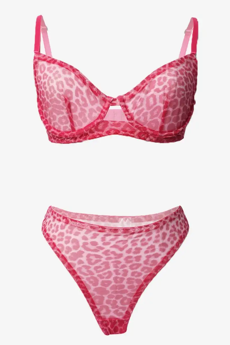 Graceful Mesh Lingerie Set