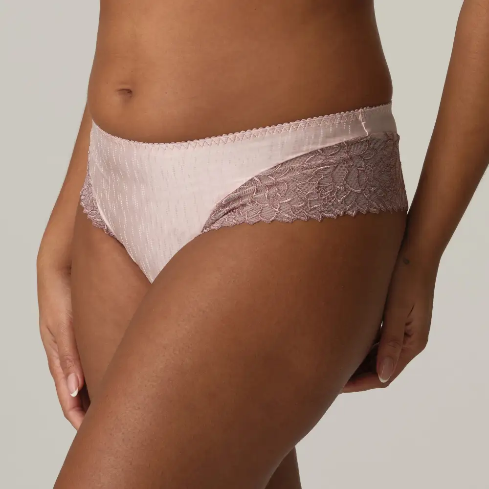 Women's High Cut Lace Mesh Vintage Detail Retro Detail Tanga Panty