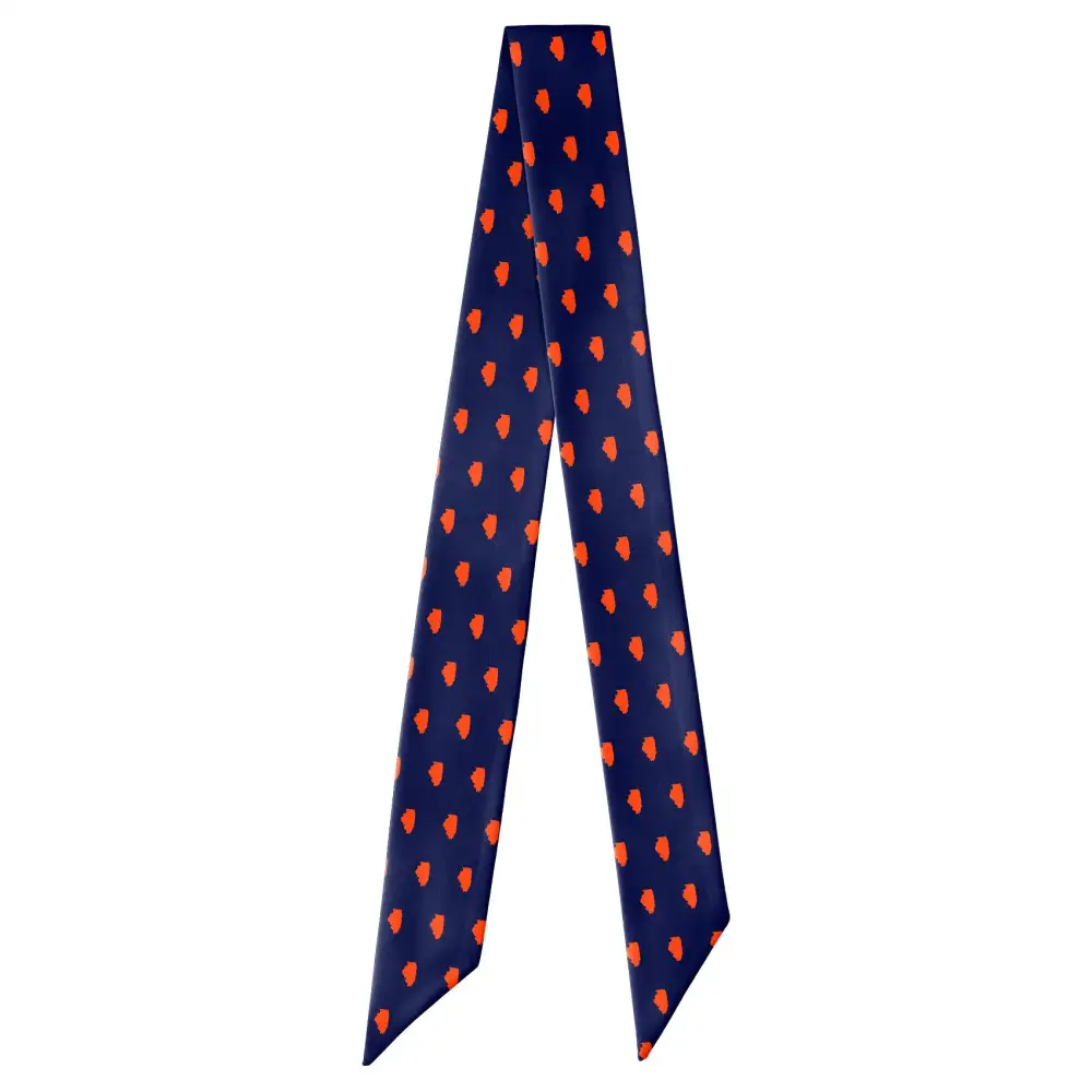 Illinois State Outline Design Hair Scarf