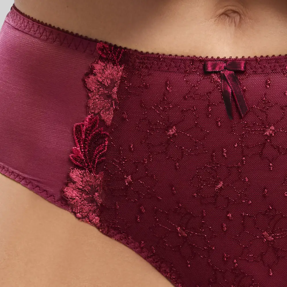 Women's Full Coverage High Waist Elastic Waistband Cotton Gusset Floral Embroidery Mesh Cotton Satin Decorative Bow Soft Fabric Stretch Fit Supportive Fit Brief Panty