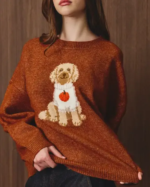 Pumpkin Doodle Sweater