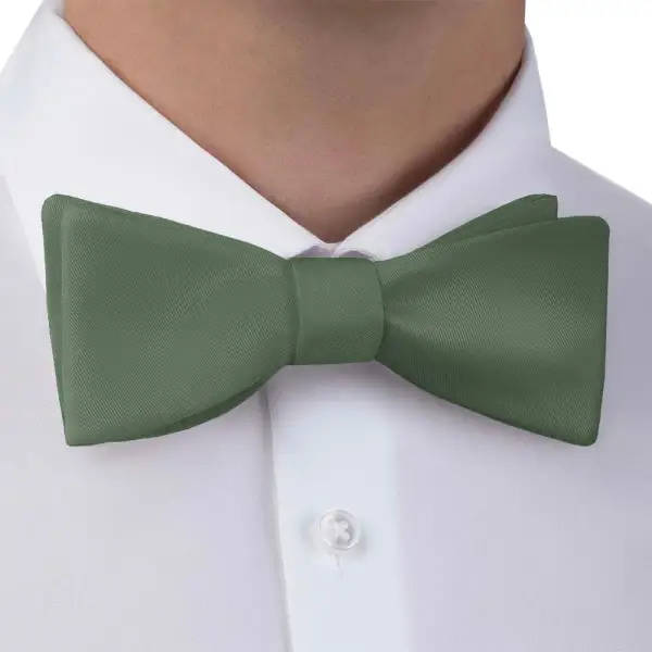 Elegant Solid Pattern Bow Tie