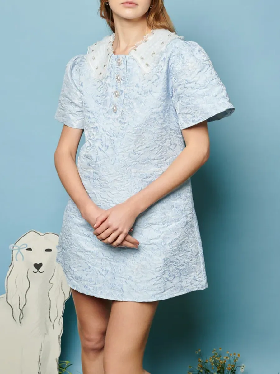 Crew Neck Jacquard Mini Dress