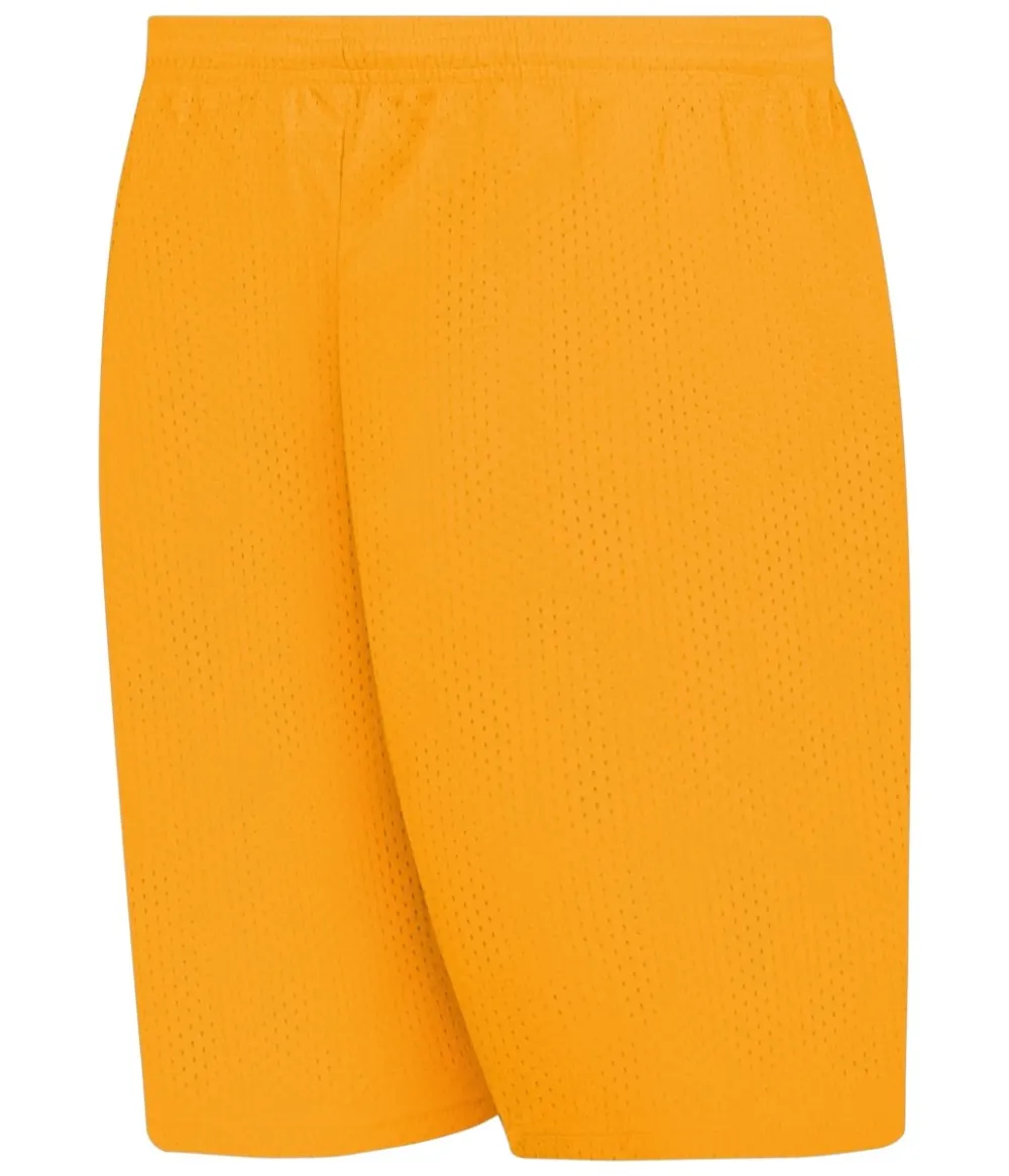 Men's Streamlined Mesh Shorts