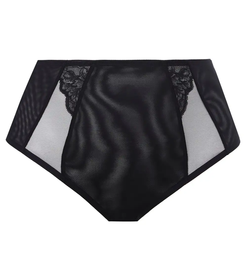 High-Waist Lace Mesh Full-Coverage Brief Panty