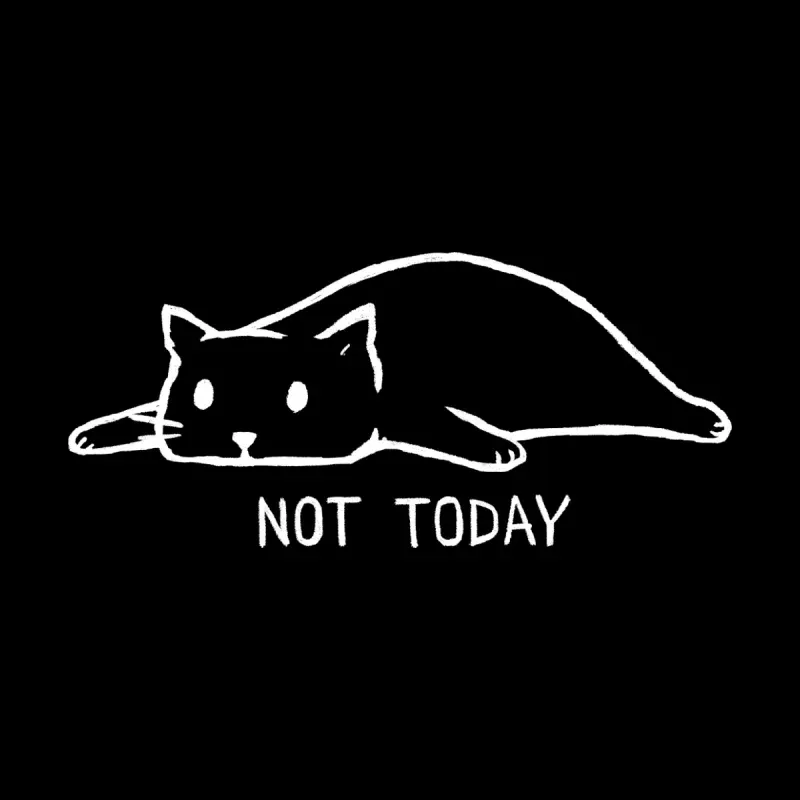 Fashionable Selection Of Cute T-Shirts