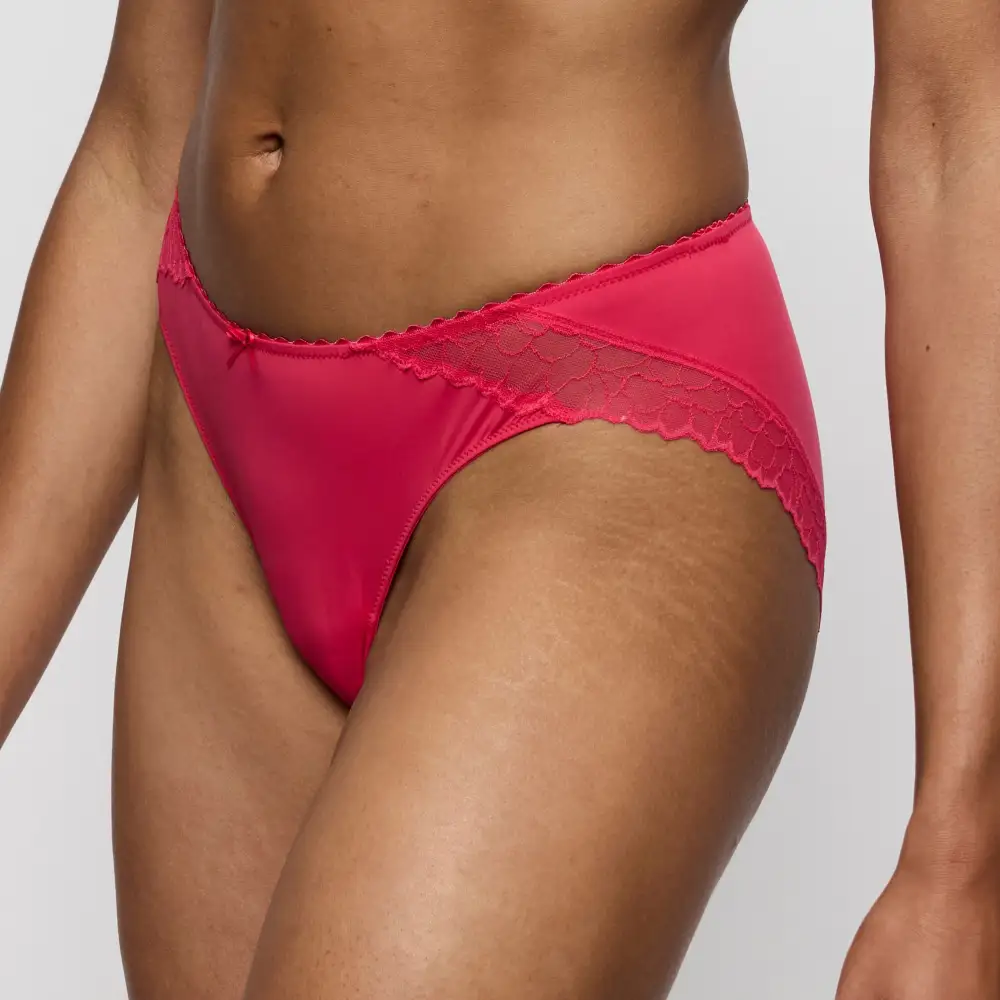 Women's High Cut Floral Lace Sheer Detail Decorative Bow Second Skin Supportive Fit Bikini Panty