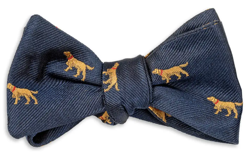 Modern Occasion Striped Bow Tie