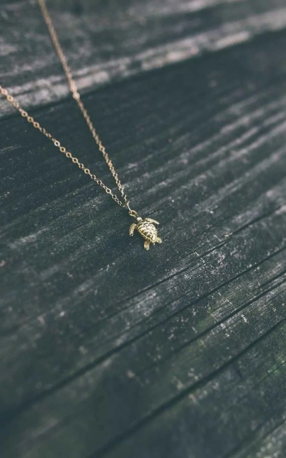 Turtle Everyday Necklace