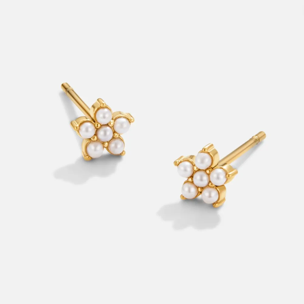 Heart Star Earrings