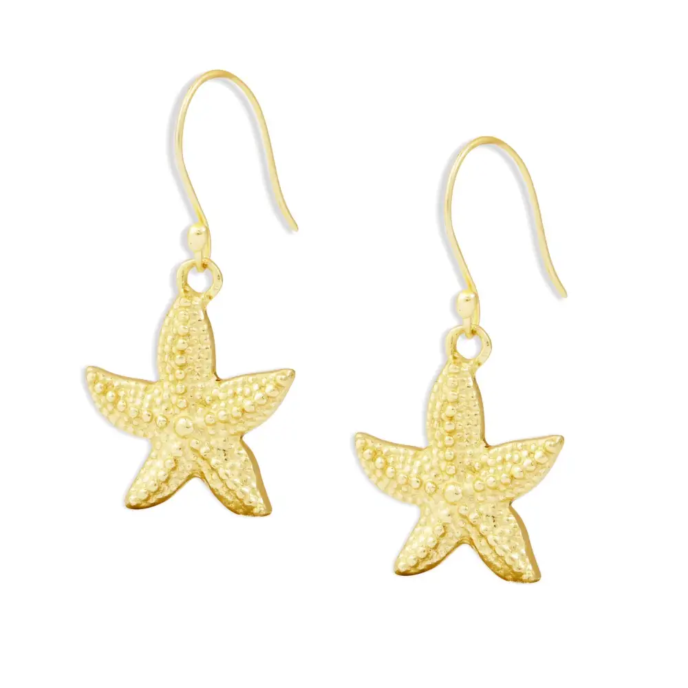 Streamlined Celestial Star Earrings